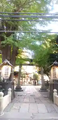 小野照崎神社の鳥居