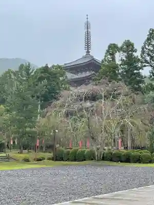 醍醐寺(上醍醐)(京都府)