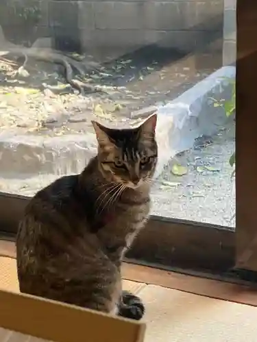 本光寺(京都府)