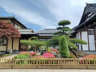 泉蔵院(埼玉県)