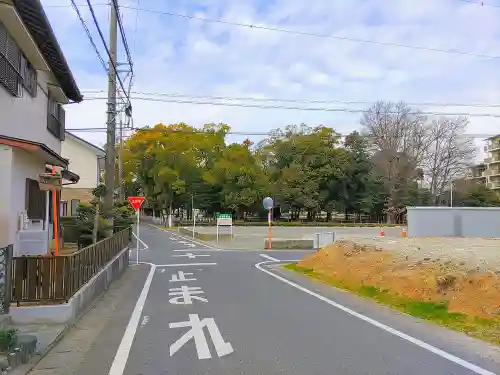 鹿島神社（大林鹿島神社）の自然