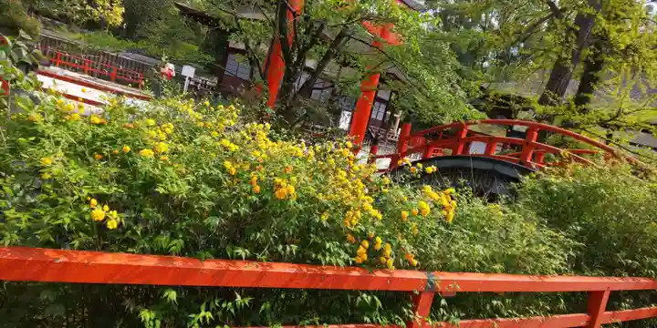 賀茂御祖神社(下鴨神社)(京都府)