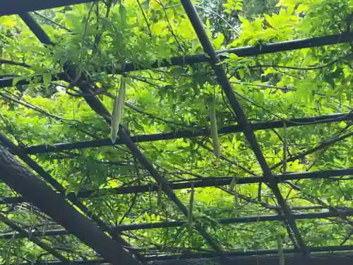 和樂備神社の自然