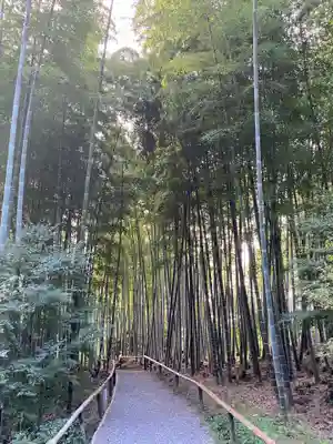 高台寺（高台寿聖禅寺・高臺寺）の周辺
