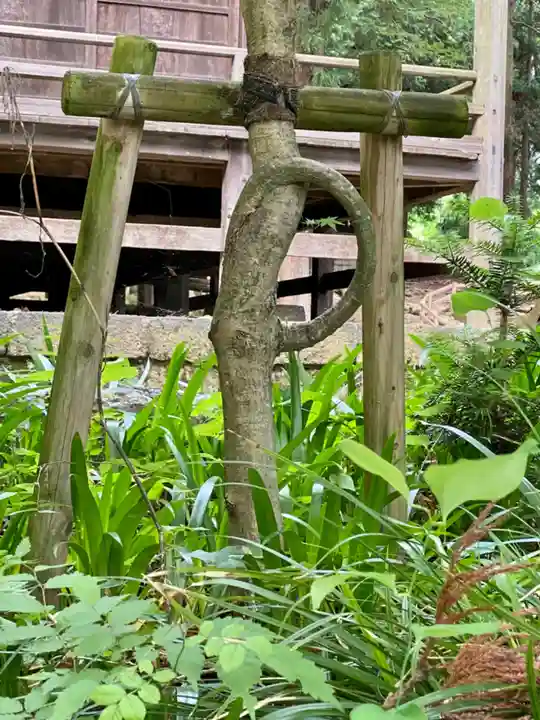 河口浅間神社(山梨県)