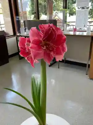 高麗神社のその他建物