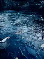 浄居寺(山梨県)