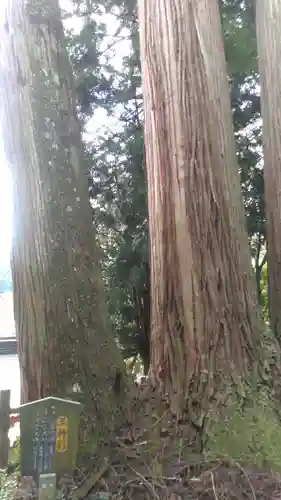 小国両神社の自然