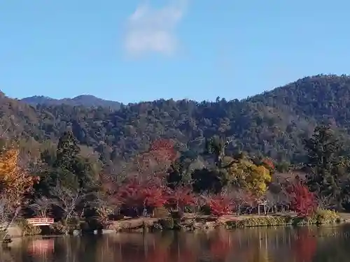 大覚寺の景色