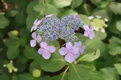 西樂寺(静岡県)