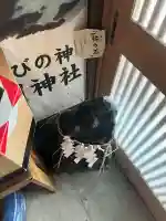 多賀神社の{uncategorized: "未分類", other: "その他", undefined: "問題あり", building: "その他建物", grave: "お墓", sacred_gate: "鳥居", guardian: "狛犬", statue: "像", buddha: "仏像", history: "歴史", nature: "自然", garden: "庭園", animal: "動物", pagoda: "塔", temizu: "手水舎", mountain_gate: "山門・神門", sanctuary: "本殿・本堂", subordinate: "末社・摂社", art: "芸術", scenery: "景色", jizo: "地蔵", ema: "絵馬", goshuin: "御朱印", omikuji: "おみくじ", items: "授与品その他", amulet: "お守り", goshuincho: "御朱印帳", eats: "食事", festival: "お祭り", votive_dance: "神楽", shichigosan: "七五三参", wedding: "結婚式", experience: "体験その他", initially: "初詣", around: "周辺", anti_infection: "感染症対策"}
