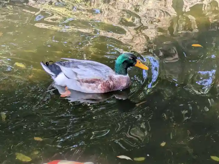 世田谷八幡宮(東京都)