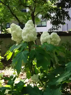 筥崎宮(福岡県)