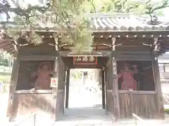 栖光院の山門