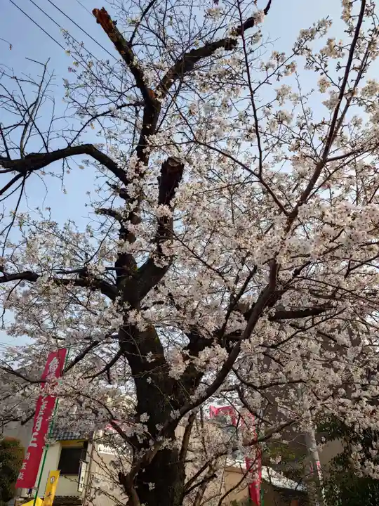 大光院(愛知県)