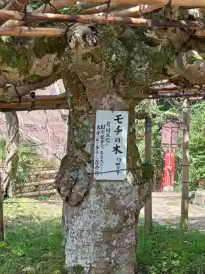 宝厳寺(滋賀県)