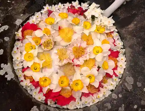 真言宗　善通寺派　薬王寺(香川県)