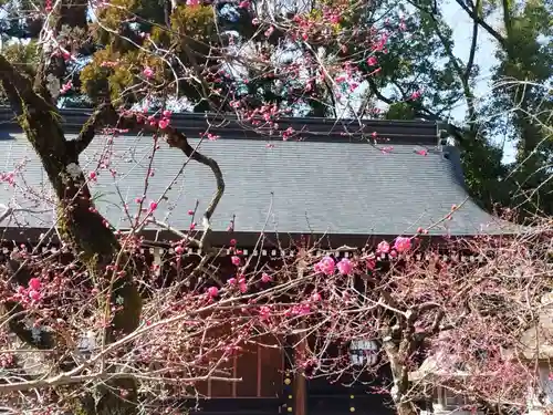 北野天満宮(京都府)