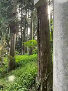 大宮温泉神社(栃木県)(2023年07月18日(火) 07時30分23秒投稿)