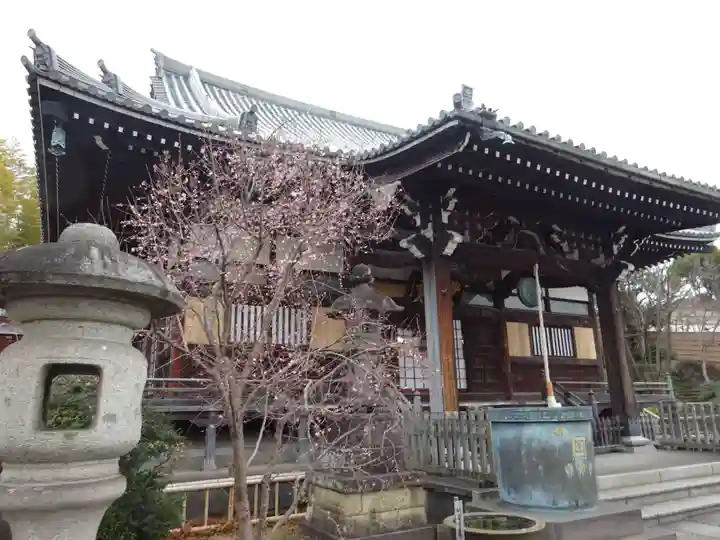 妙蓮寺(神奈川県)