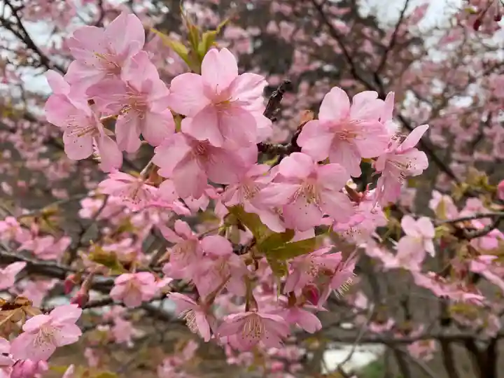 普門寺(切り絵御朱印発祥の寺)(愛知県)