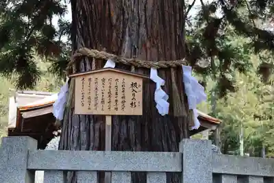 諏訪大社下社秋宮(長野県)