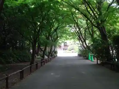 高円寺のその他建物