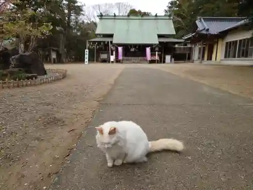 鎌数伊勢大神宮の動物