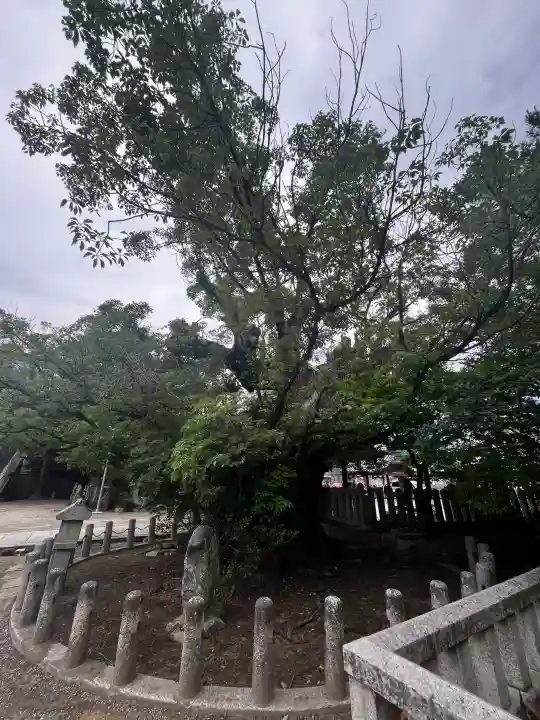 洲本八幡神社(兵庫県)