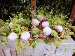 常陸國總社宮(茨城県)