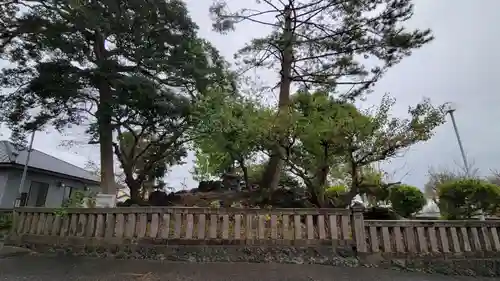 日吉浅間神社の自然