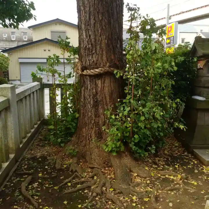 綾瀬神社の庭園