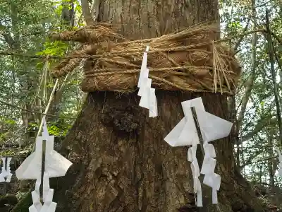 佐為神社の{uncategorized: "未分類", other: "その他", undefined: "問題あり", building: "その他建物", grave: "お墓", sacred_gate: "鳥居", guardian: "狛犬", statue: "像", buddha: "仏像", history: "歴史", nature: "自然", garden: "庭園", animal: "動物", pagoda: "塔", temizu: "手水舎", mountain_gate: "山門・神門", sanctuary: "本殿・本堂", subordinate: "末社・摂社", art: "芸術", scenery: "景色", jizo: "地蔵", ema: "絵馬", goshuin: "御朱印", omikuji: "おみくじ", items: "授与品その他", amulet: "お守り", goshuincho: "御朱印帳", eats: "食事", festival: "お祭り", votive_dance: "神楽", shichigosan: "七五三参", wedding: "結婚式", experience: "体験その他", initially: "初詣", around: "周辺", anti_infection: "感染症対策"}