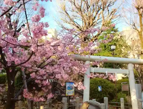 鳩森八幡神社の自然