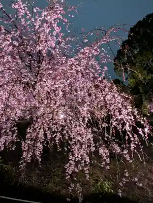 平安神宮の{uncategorized: "未分類", other: "その他", undefined: "問題あり", building: "その他建物", grave: "お墓", sacred_gate: "鳥居", guardian: "狛犬", statue: "像", buddha: "仏像", history: "歴史", nature: "自然", garden: "庭園", animal: "動物", pagoda: "塔", temizu: "手水舎", mountain_gate: "山門・神門", sanctuary: "本殿・本堂", subordinate: "末社・摂社", art: "芸術", scenery: "景色", jizo: "地蔵", ema: "絵馬", goshuin: "御朱印", omikuji: "おみくじ", items: "授与品その他", amulet: "お守り", goshuincho: "御朱印帳", eats: "食事", festival: "お祭り", votive_dance: "神楽", shichigosan: "七五三参", wedding: "結婚式", experience: "体験その他", initially: "初詣", around: "周辺", anti_infection: "感染症対策"}