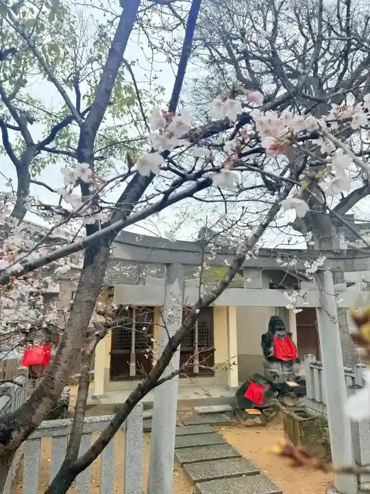 舞子六神社/まいこむの宮の{uncategorized: "未分類", other: "その他", undefined: "問題あり", building: "その他建物", grave: "お墓", sacred_gate: "鳥居", guardian: "狛犬", statue: "像", buddha: "仏像", history: "歴史", nature: "自然", garden: "庭園", animal: "動物", pagoda: "塔", temizu: "手水舎", mountain_gate: "山門・神門", sanctuary: "本殿・本堂", subordinate: "末社・摂社", art: "芸術", scenery: "景色", jizo: "地蔵", ema: "絵馬", goshuin: "御朱印", omikuji: "おみくじ", items: "授与品その他", amulet: "お守り", goshuincho: "御朱印帳", eats: "食事", festival: "お祭り", votive_dance: "神楽", shichigosan: "七五三参", wedding: "結婚式", experience: "体験その他", initially: "初詣", around: "周辺", anti_infection: "感染症対策"}