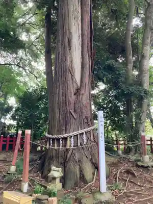 麻賀多神社奥宮(千葉県)
