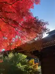 普門寺(切り絵御朱印発祥の寺)(愛知県)