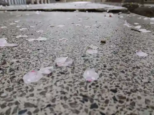 神明神社(福井県)