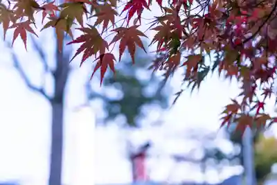 生島足島神社(長野県)