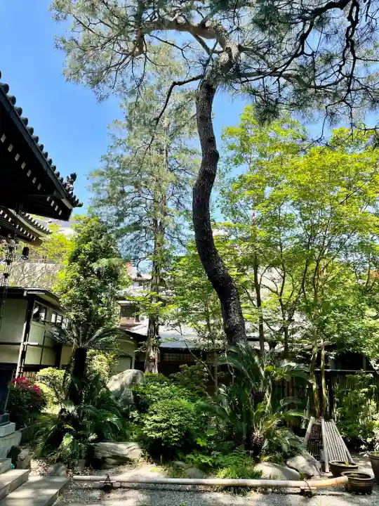 観音院(東京都)