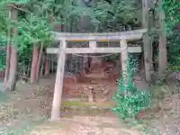 素盞嗚社(平尾町)の鳥居