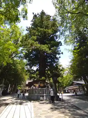 諏訪大社下社秋宮(長野県)