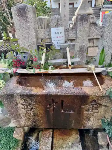 金札宮の{uncategorized: "未分類", other: "その他", undefined: "問題あり", building: "その他建物", grave: "お墓", sacred_gate: "鳥居", guardian: "狛犬", statue: "像", buddha: "仏像", history: "歴史", nature: "自然", garden: "庭園", animal: "動物", pagoda: "塔", temizu: "手水舎", mountain_gate: "山門・神門", sanctuary: "本殿・本堂", subordinate: "末社・摂社", art: "芸術", scenery: "景色", jizo: "地蔵", ema: "絵馬", goshuin: "御朱印", omikuji: "おみくじ", items: "授与品その他", amulet: "お守り", goshuincho: "御朱印帳", eats: "食事", festival: "お祭り", votive_dance: "神楽", shichigosan: "七五三参", wedding: "結婚式", experience: "体験その他", initially: "初詣", around: "周辺", anti_infection: "感染症対策"}