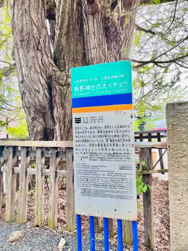 熊野大社(山形県)