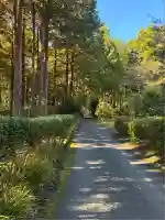 九頭龍神社本宮(神奈川県)