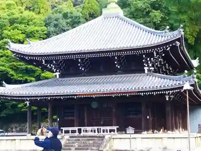 知恩院(京都府)