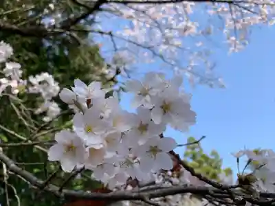 滑川神社 - 仕事と子どもの守り神(福島県)