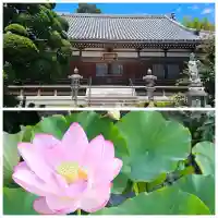 広福寺の{uncategorized: "未分類", other: "その他", undefined: "問題あり", building: "その他建物", grave: "お墓", sacred_gate: "鳥居", guardian: "狛犬", statue: "像", buddha: "仏像", history: "歴史", nature: "自然", garden: "庭園", animal: "動物", pagoda: "塔", temizu: "手水舎", mountain_gate: "山門・神門", sanctuary: "本殿・本堂", subordinate: "末社・摂社", art: "芸術", scenery: "景色", jizo: "地蔵", ema: "絵馬", goshuin: "御朱印", omikuji: "おみくじ", items: "授与品その他", amulet: "お守り", goshuincho: "御朱印帳", eats: "食事", festival: "お祭り", votive_dance: "神楽", shichigosan: "七五三参", wedding: "結婚式", experience: "体験その他", initially: "初詣", around: "周辺", anti_infection: "感染症対策"}
