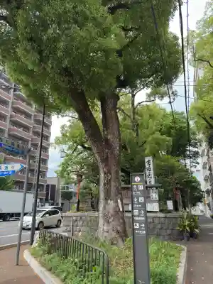 若一神社(京都府)